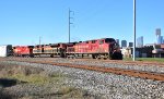 CP 8141